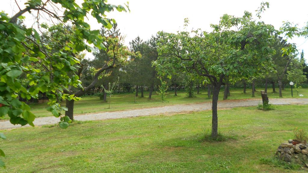 San Martin Del Colle Holiday Home Casciana Terme Room photo